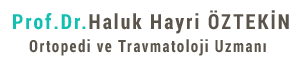 prof-dr-haluk-oztekin